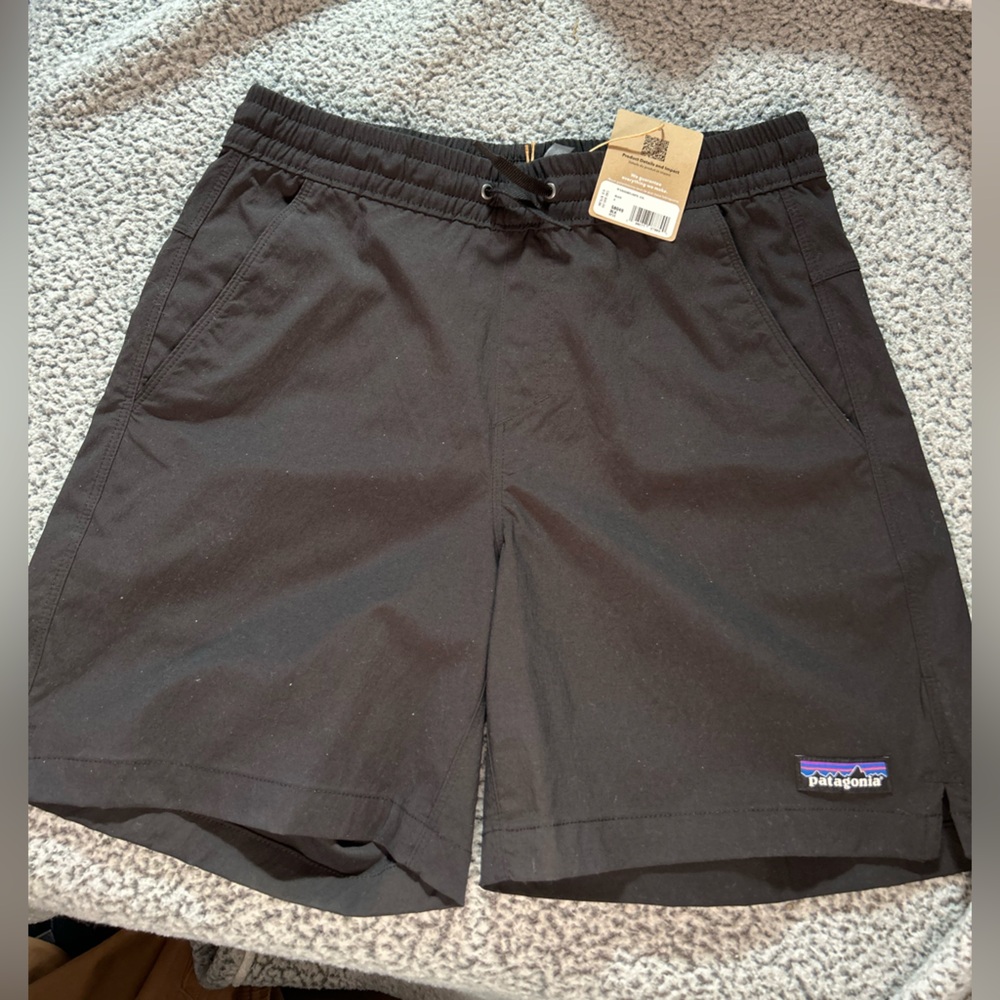 Patagonia Men's Baggies Shorts